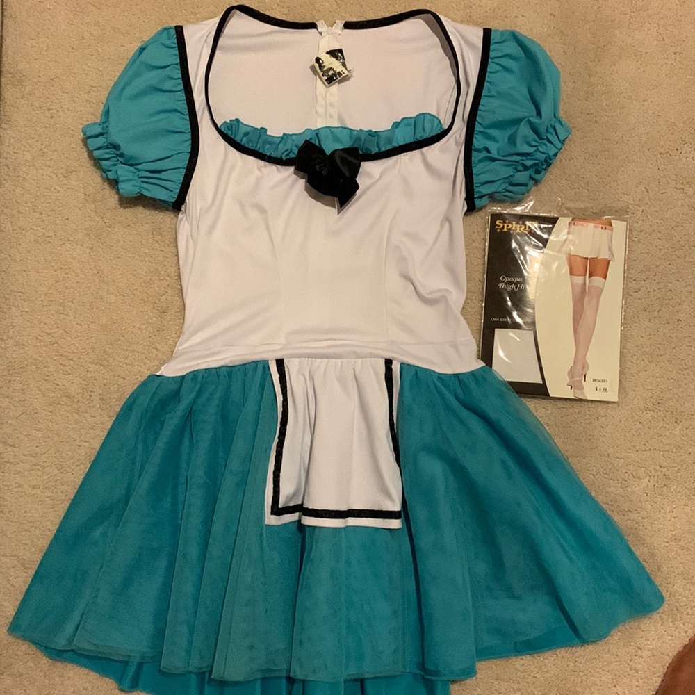 Alice in Wonderland Halloween Costume
